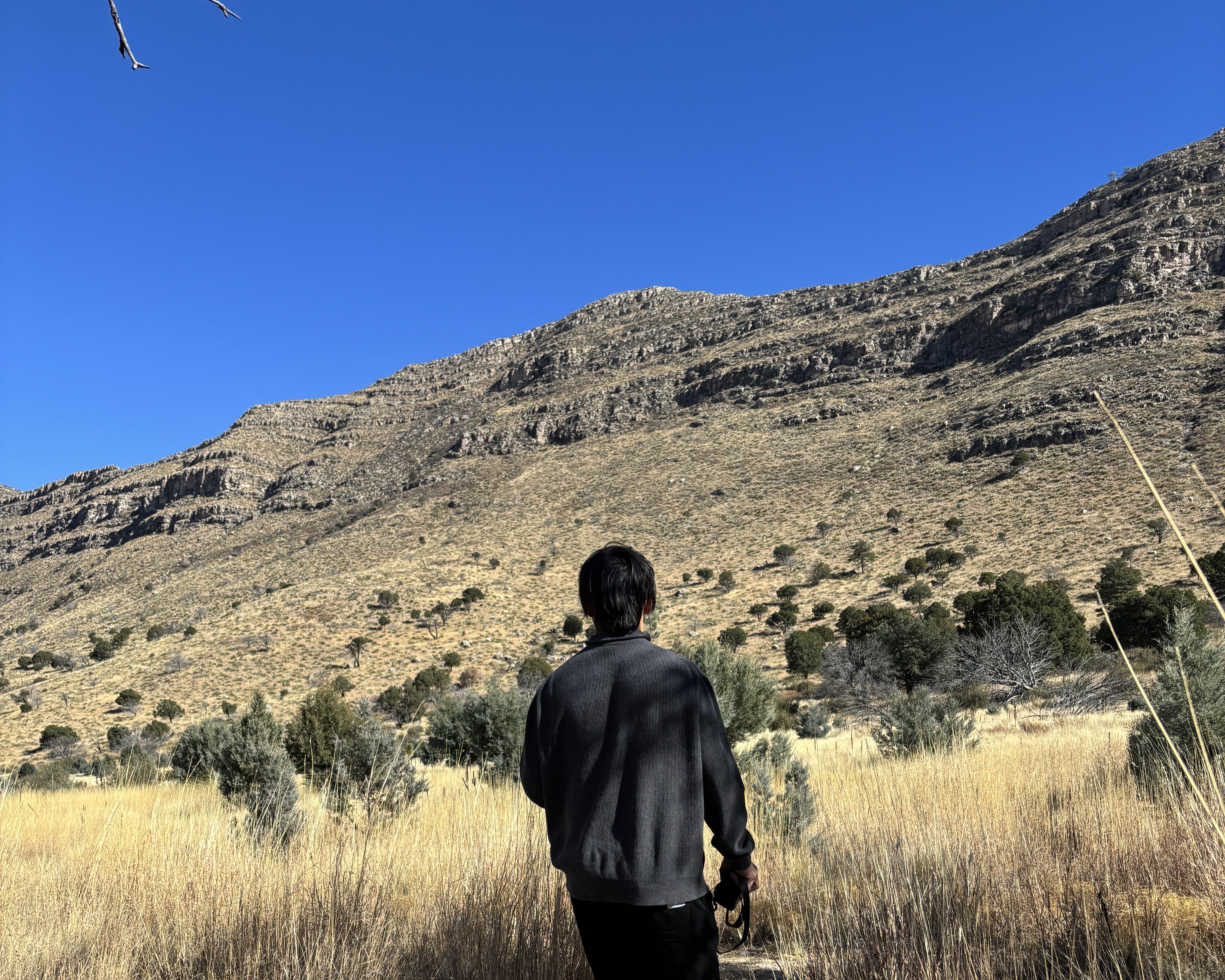 guy standing in field with maountain ahead